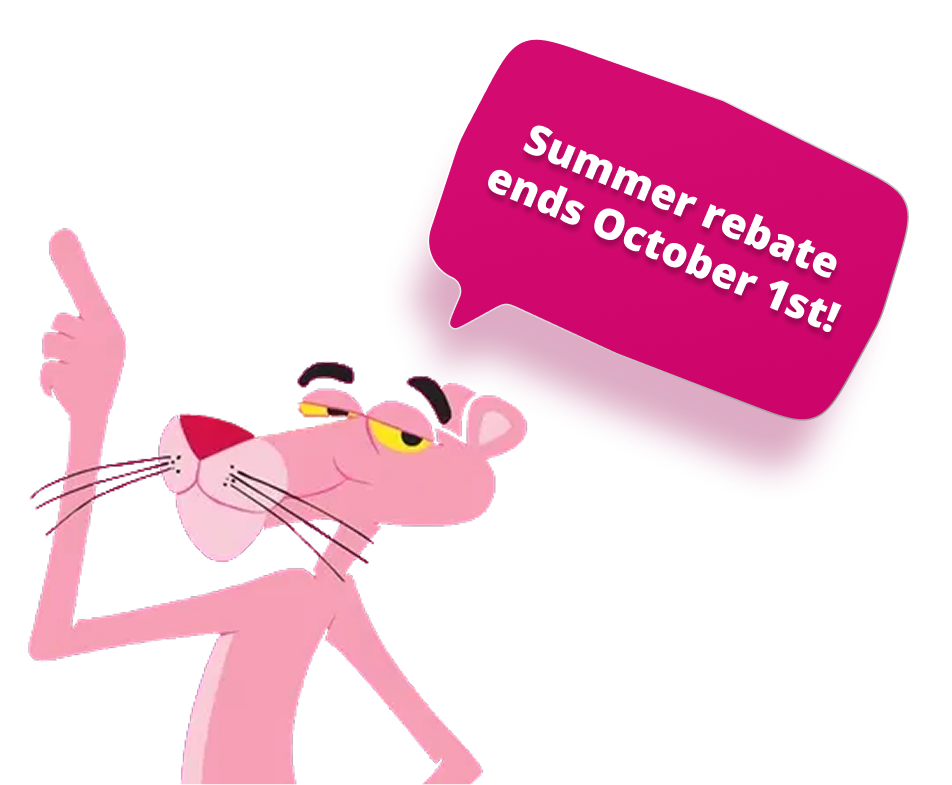 summer rebate